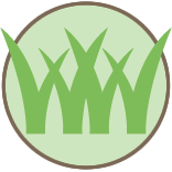 Lawn Top Dressing Pros