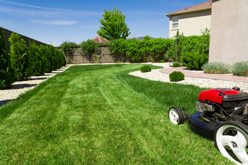 Lawn Maintenance Service