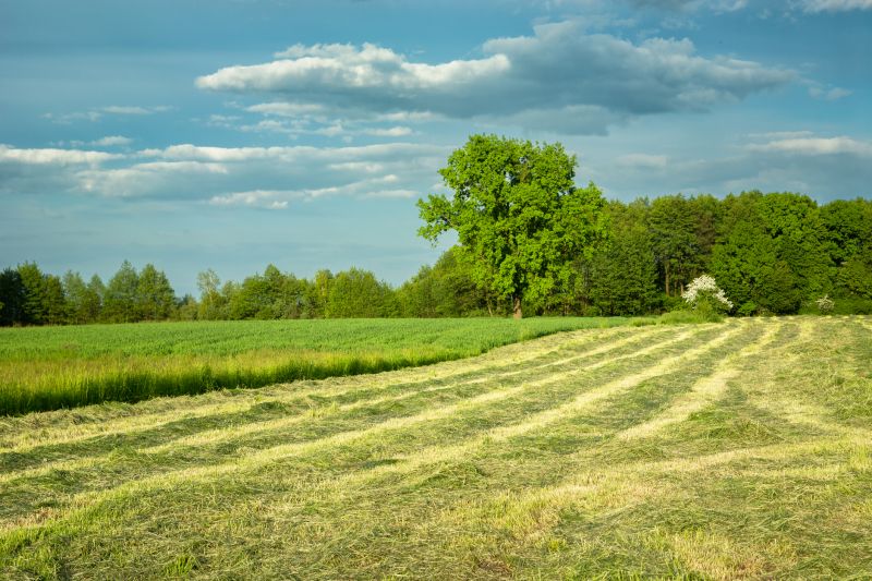 Acreage Mowing Service in Prince Georges County, MD