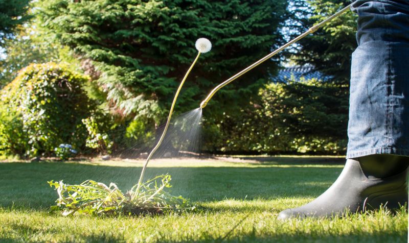 Slope Weed Control in Honolulu, HI