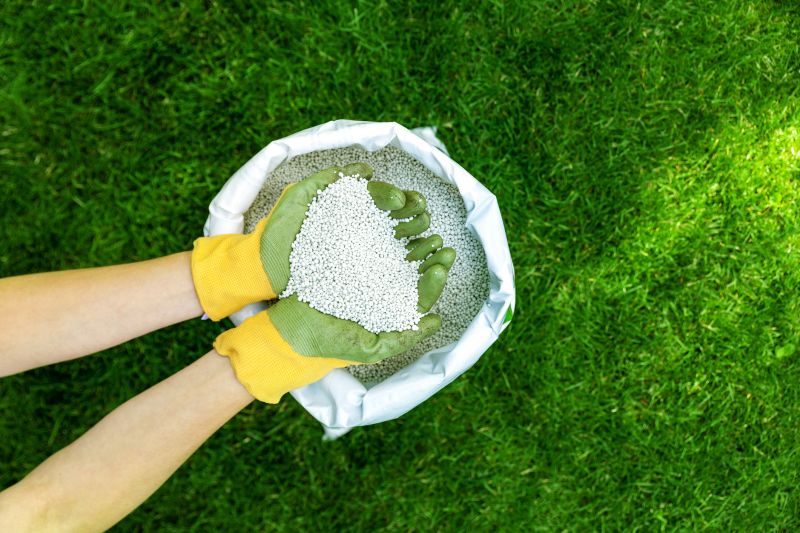 Lawn Top Dressing