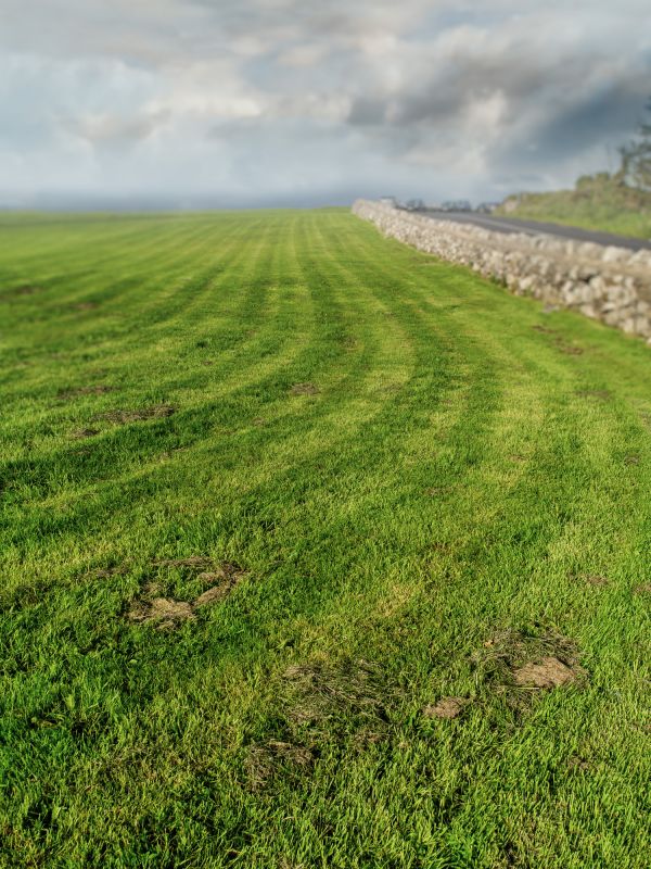 Acreage Mowing Service in Duluth, MN