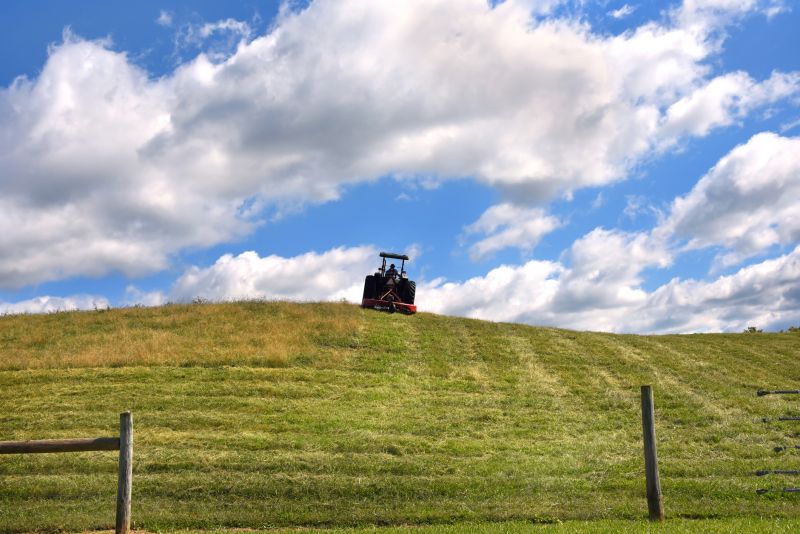 Bush Hog Mowing in Duluth, MN