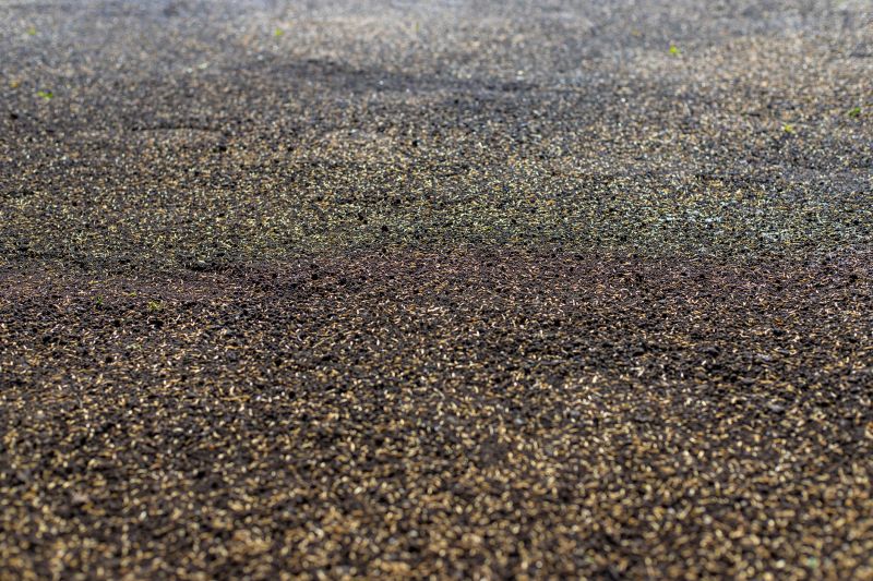 Commercial Lawn Seeding in Honolulu, HI