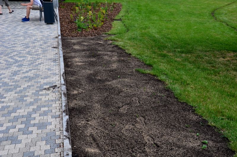Cost of Lawn Top Dressing — Cost of Lawn Top Dressing