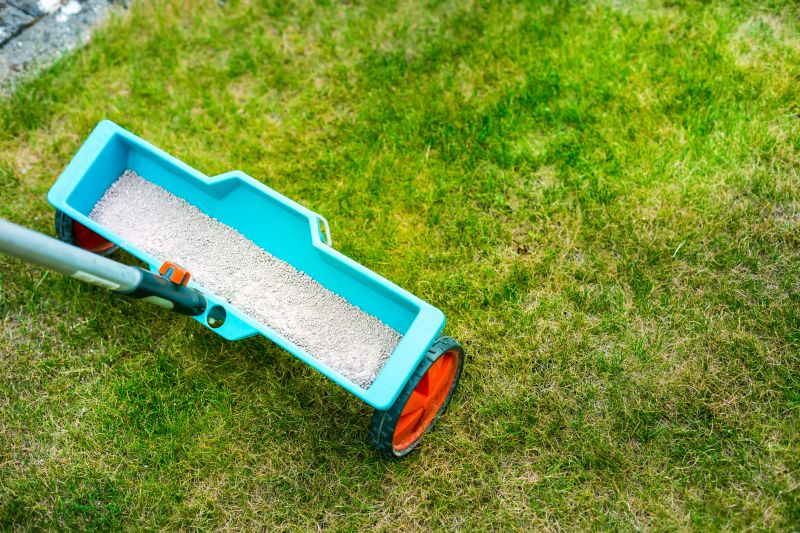 Cost of Lawn Top Dressing — Cost of Lawn Top Dressing