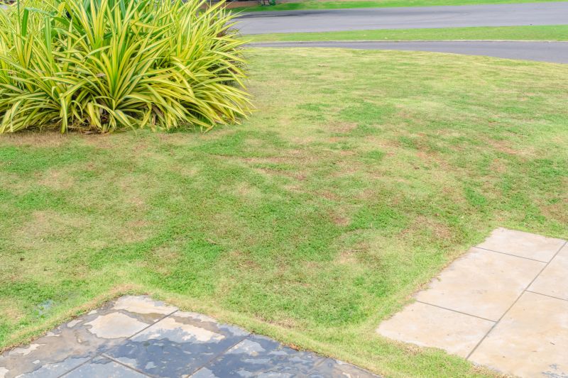 Grass Treatment in Honolulu, HI