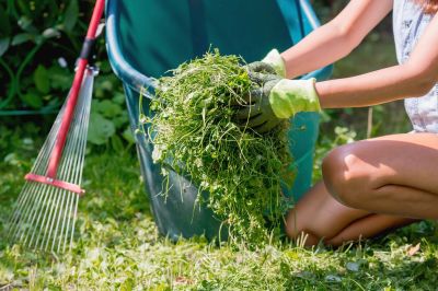 Lawn Cleanup Service in Ventura County, CA