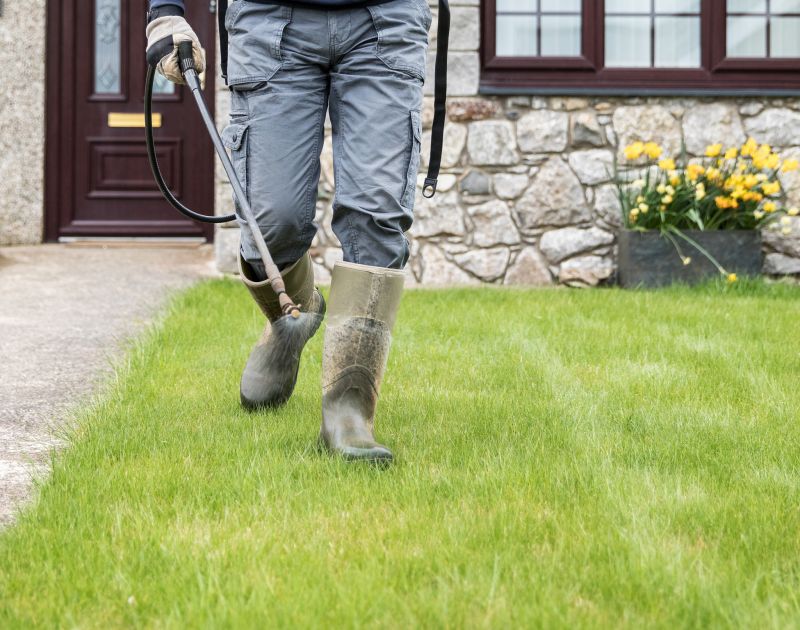 Lawn Moss Control in Honolulu, HI