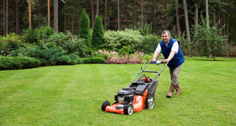 Seasonal Lawn Maintenance