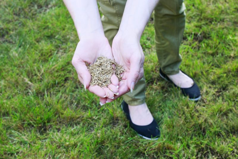 Reseeding Service in Ventura County, CA