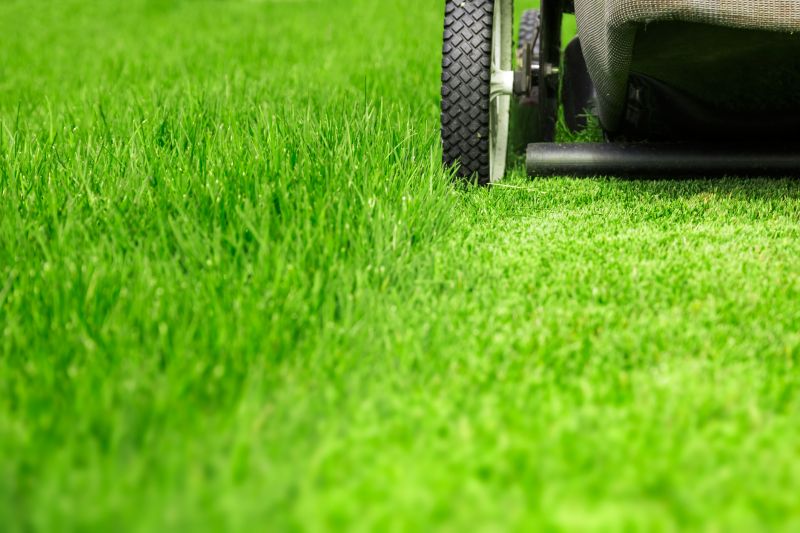 Routine Lawn Care in Bowie, MD