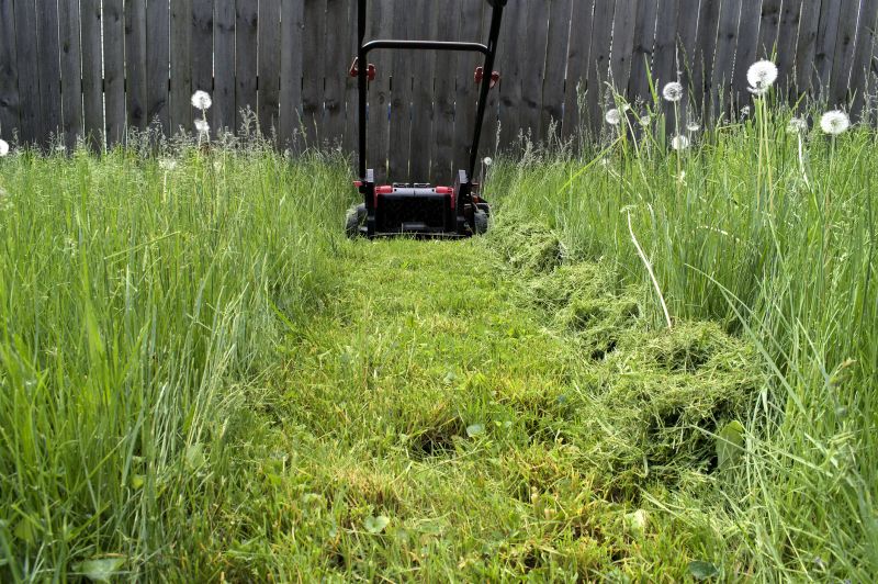 Slope Mowing in Bowie, MD
