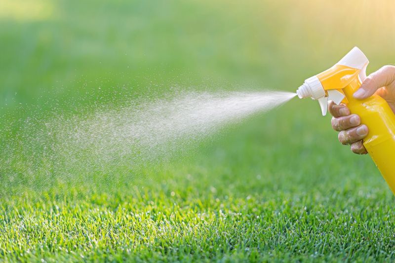 Slope Weed Control in Ventura County, CA