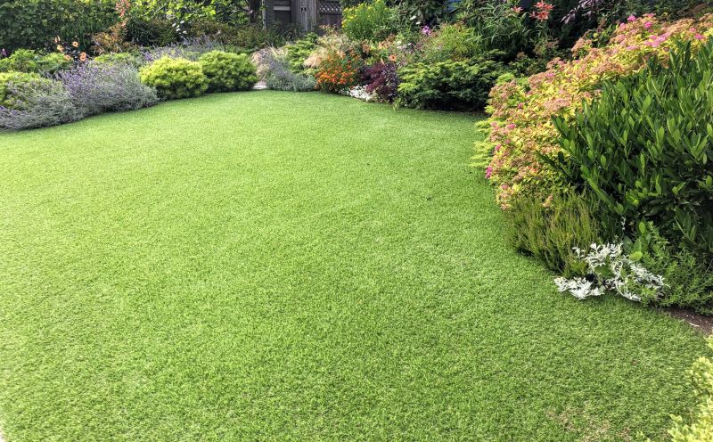 Spring Lawn Care in Bowie, MD