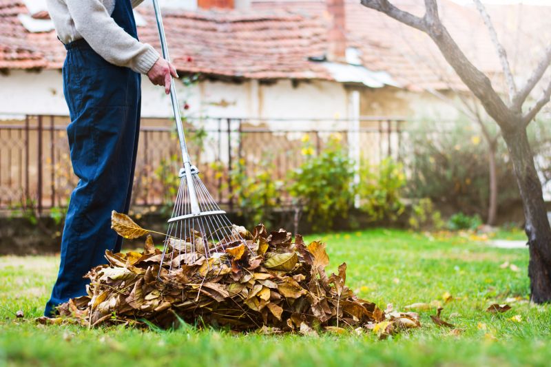 Spring Lawn Cleanup in Ventura County, CA