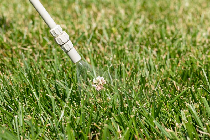 Weed Spraying in Ventura County, CA