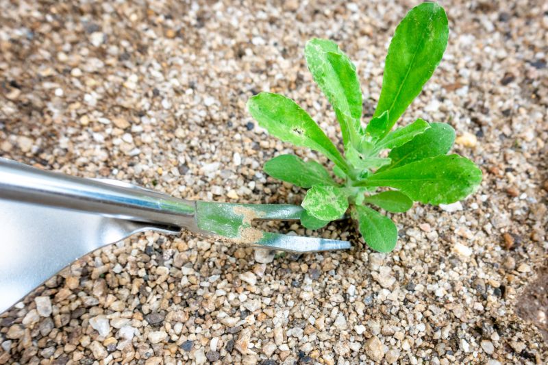 Weeding Service in Aiken, SC