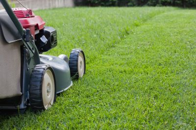 Yard Maintenance in Bowie, MD